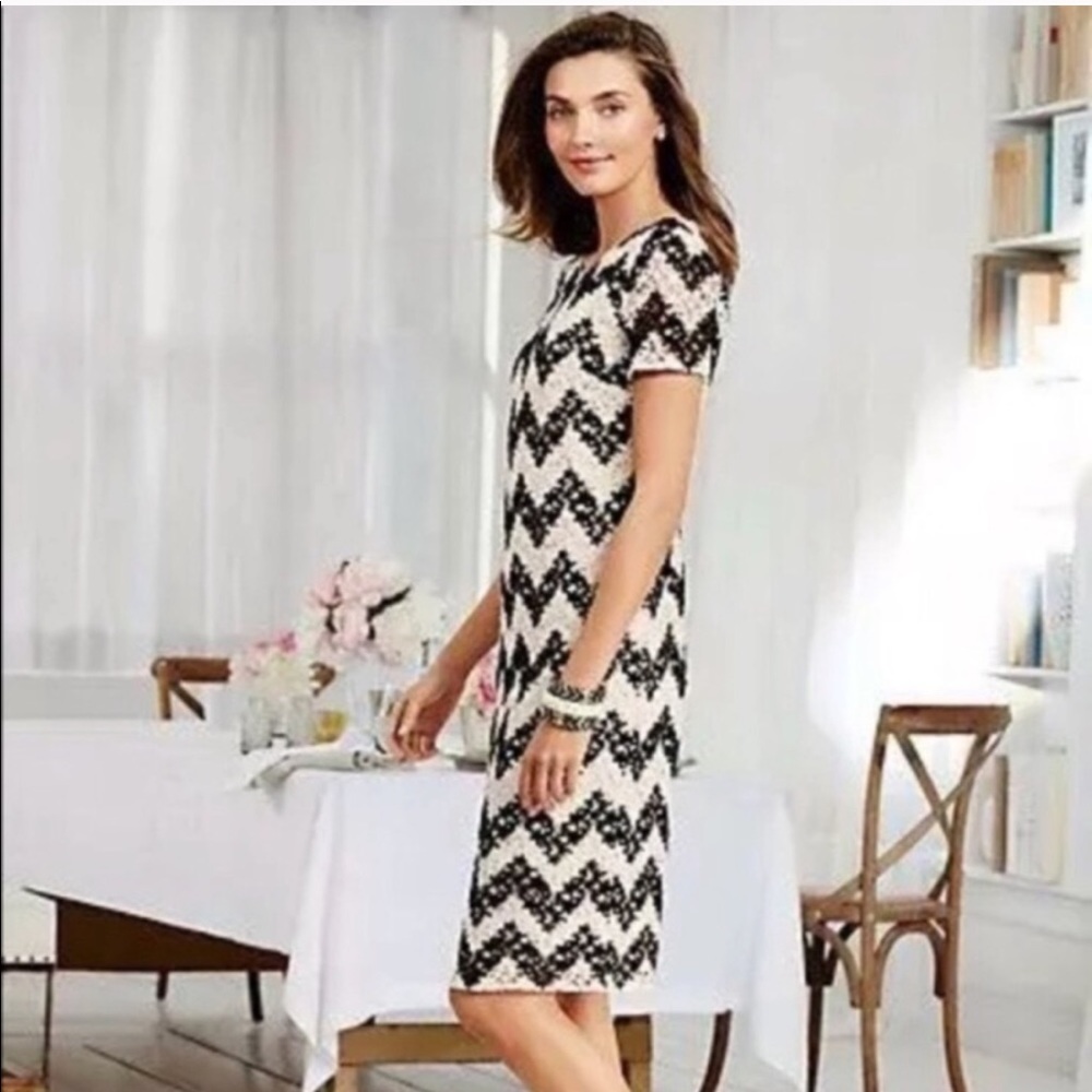Talbots Lace Chevron Pattern Dress - Picture 2 of 6